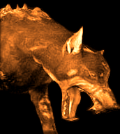 re5