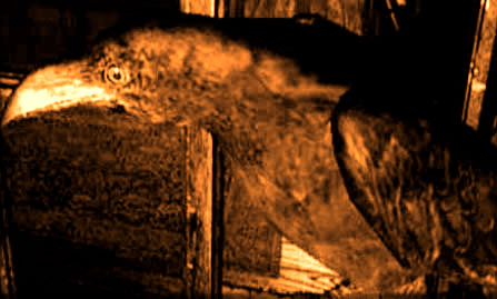 re5