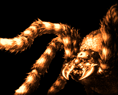 re5
