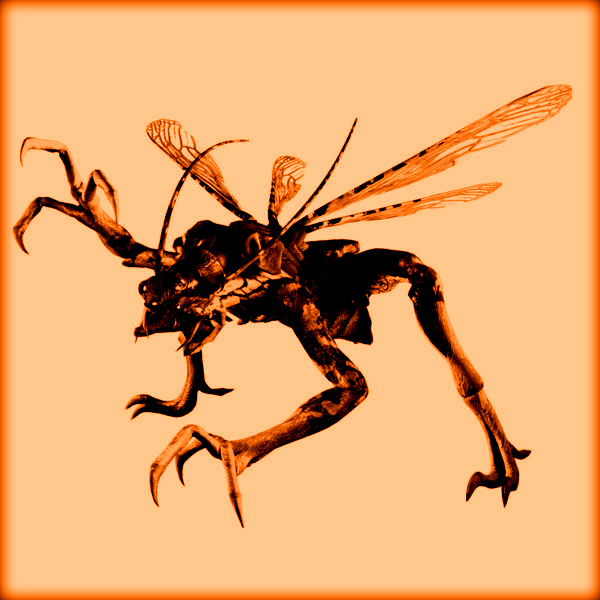 re5